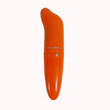 Mini Vibrador Ponto G Golfinho – Doce Malícia