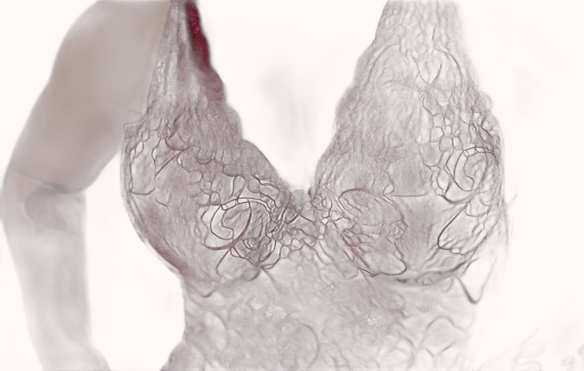 Camisola Tule e Renda Sensual com Bojo – Doce Malícia