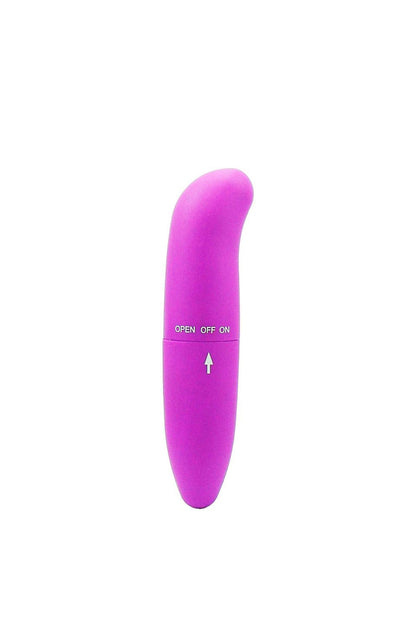 Mini Vibrador Ponto G Golfinho em roxo – Doce Malícia