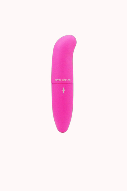 Mini Vibrador Ponto G Golfinho – Doce Malícia