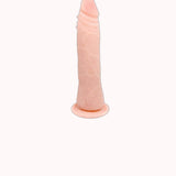Pênis Realístico Flexível 21cm – Doce Malícia
