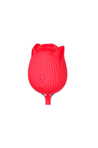 Vibrador Rosa Estimuladora de Ponto em Preto – Doce Malícia